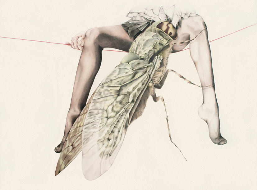 Kisses taste different colored pencils on paper, 140×102